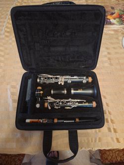 Yamaha YCL-255 Clarinet (3 MonthsUsed)