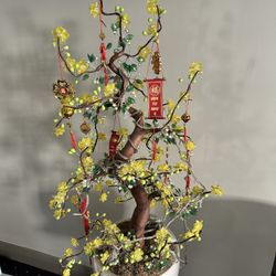 Chinese new year Lucky Plant Feng shui