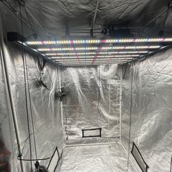 Grow setup 