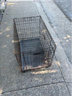 Cage