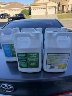 SIMPLE LAWN Solution 