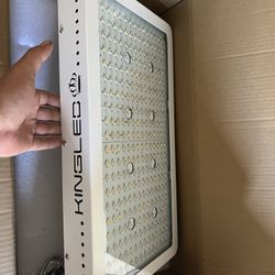 King Led Grow Lights