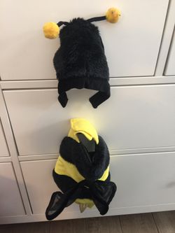 Dog or puppy bee 🐝 costume