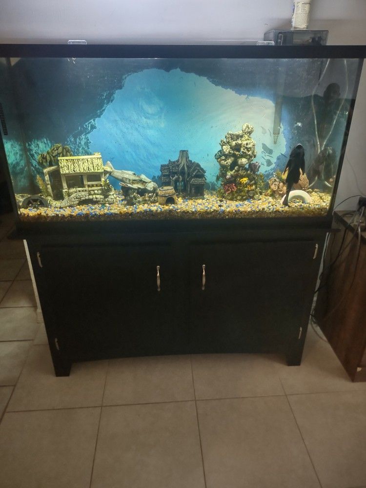 60 Gallon Fish Tank 