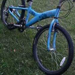 Bux 24, Mountain Bike Size 24