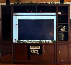 Entertainment Center