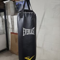 Everlast Heavy Bag
