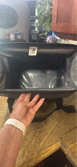 Large Insulated Food Delivery Bag