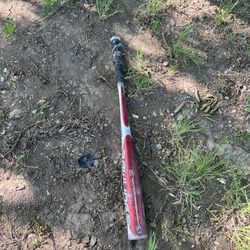 Bat