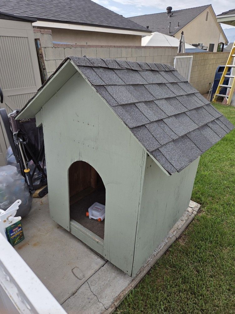 Free Dog Will Fit A Large Dog