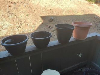 Flower pots, multiple sizes with trays.