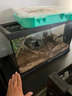 pet enclosure