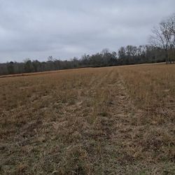 1 Acres Land Available 