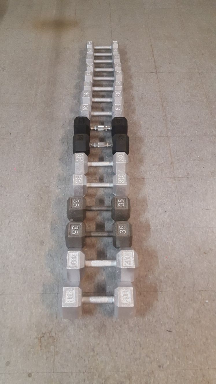 10, 12, 15, 20, 25, 30, 35, 40 lb dumbbells. 374 lb total