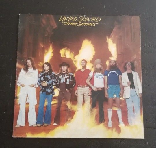 Lynyrd Skynyrd Vinyl Record
