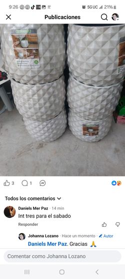 Plant pots $15 each