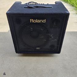 180w Amp Roland