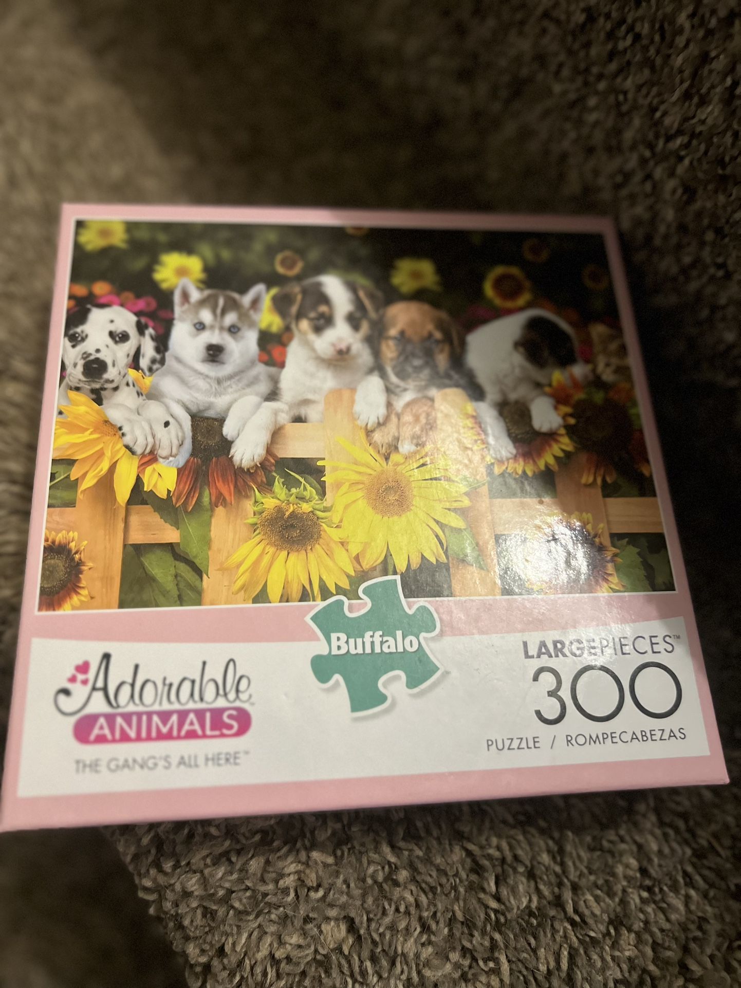 Cute Puppy Puzzle