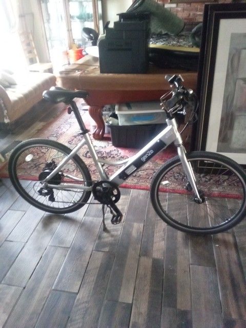 Genze E102 Electric Bike