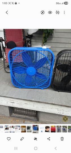 Fan