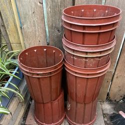 Plant Pots 