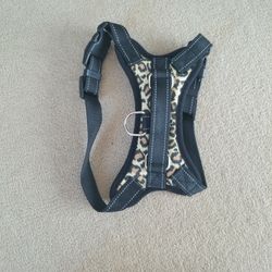 New Dog Harness (Tried On My Dog But Too Small)