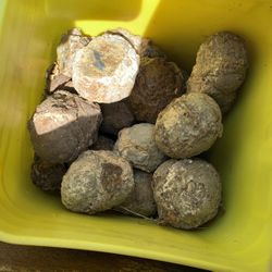 30 geodes