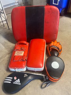 Martial arts/boxing striking pads