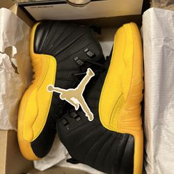 University Gold 12s 