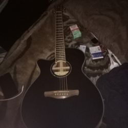 Ibanez AEG10LII