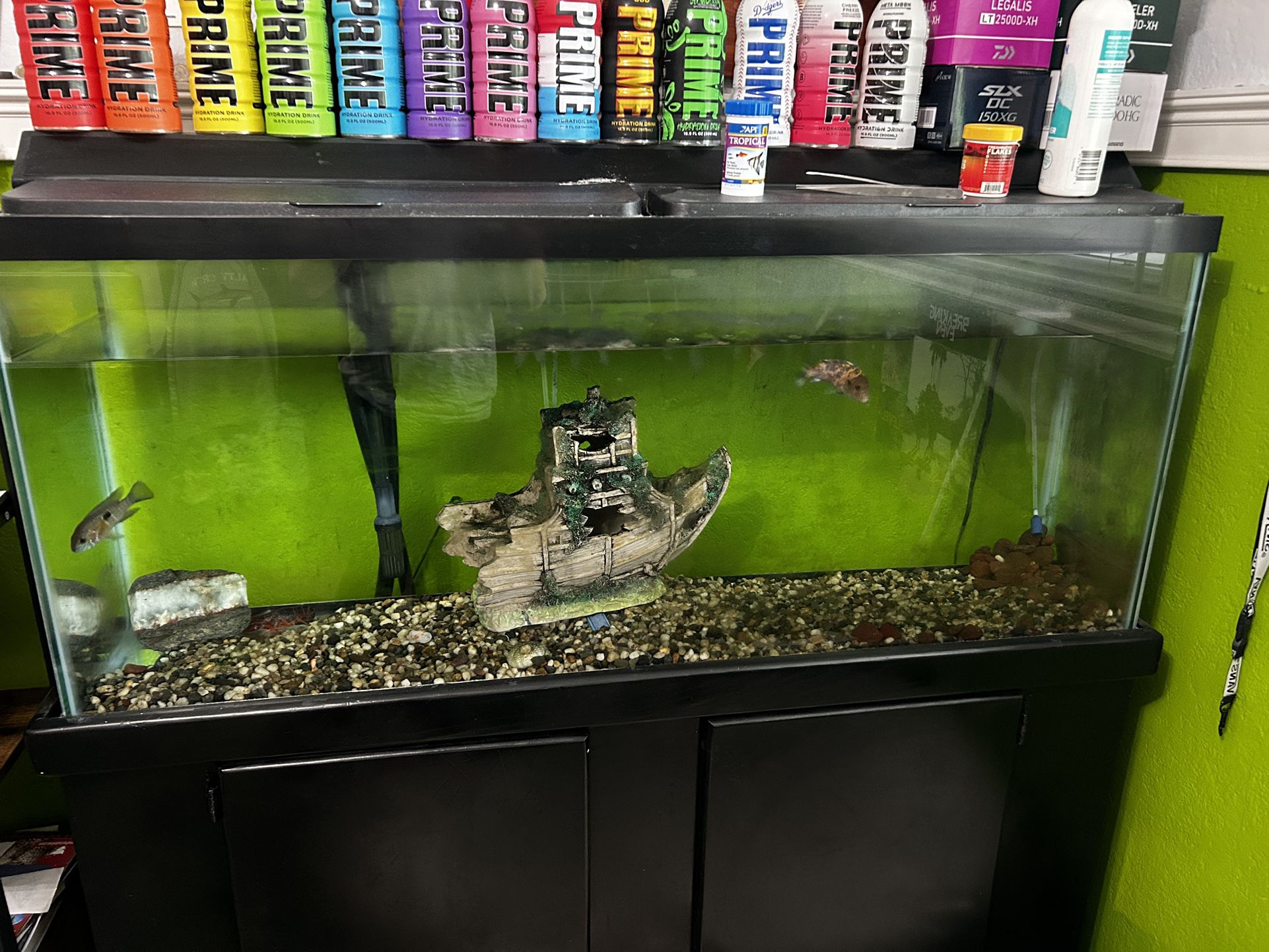 80 Gallon Fish Tank $200 OBO Shoot Offers