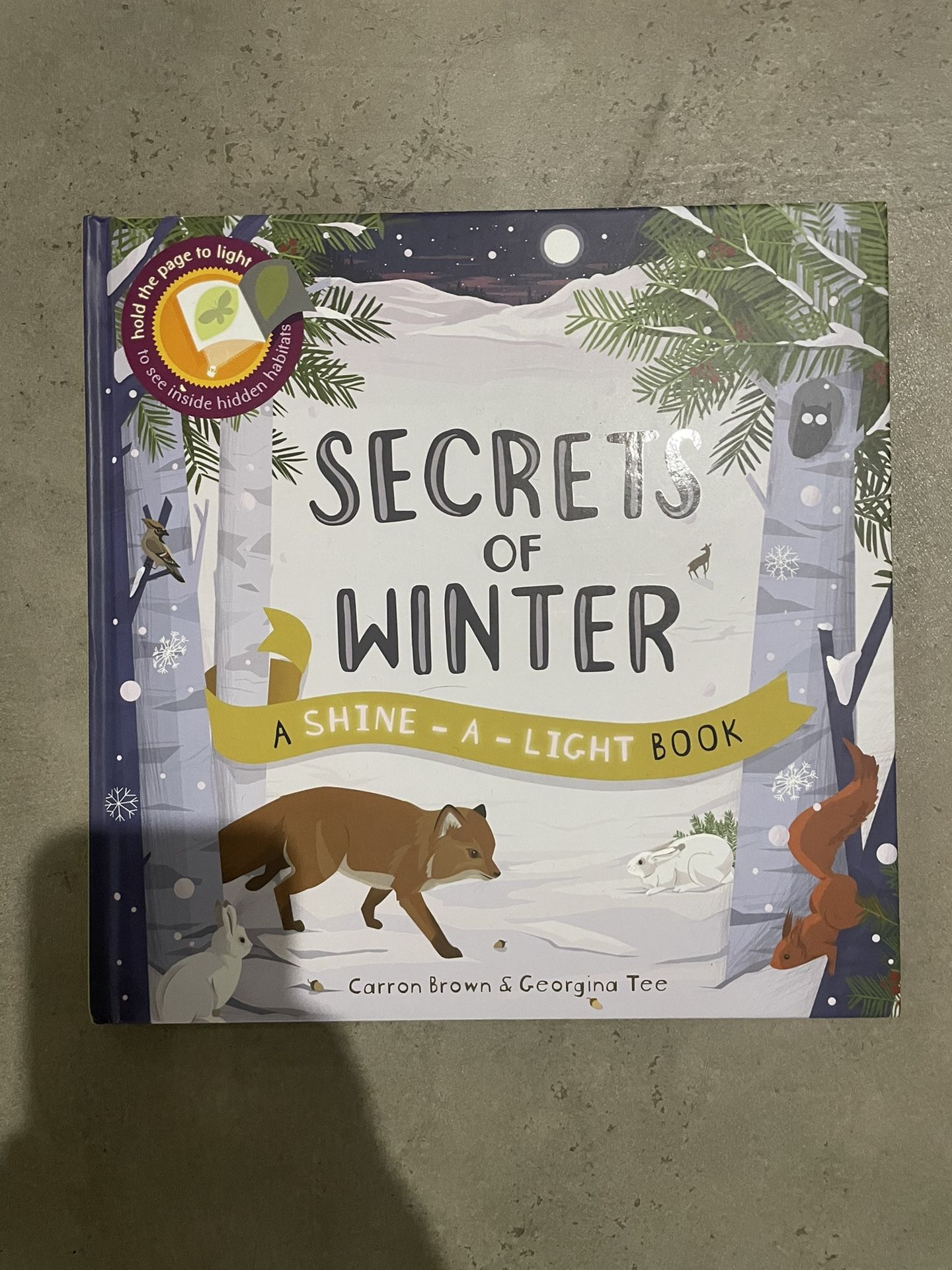 Secrets of Winter Book (A Shine-A-Light Book )