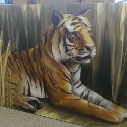 Tiger Picture 