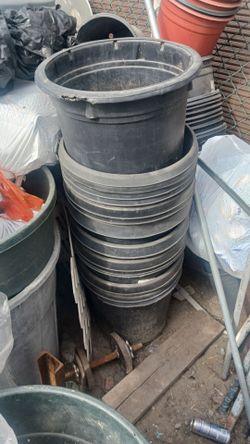 5 gal pots 1$each