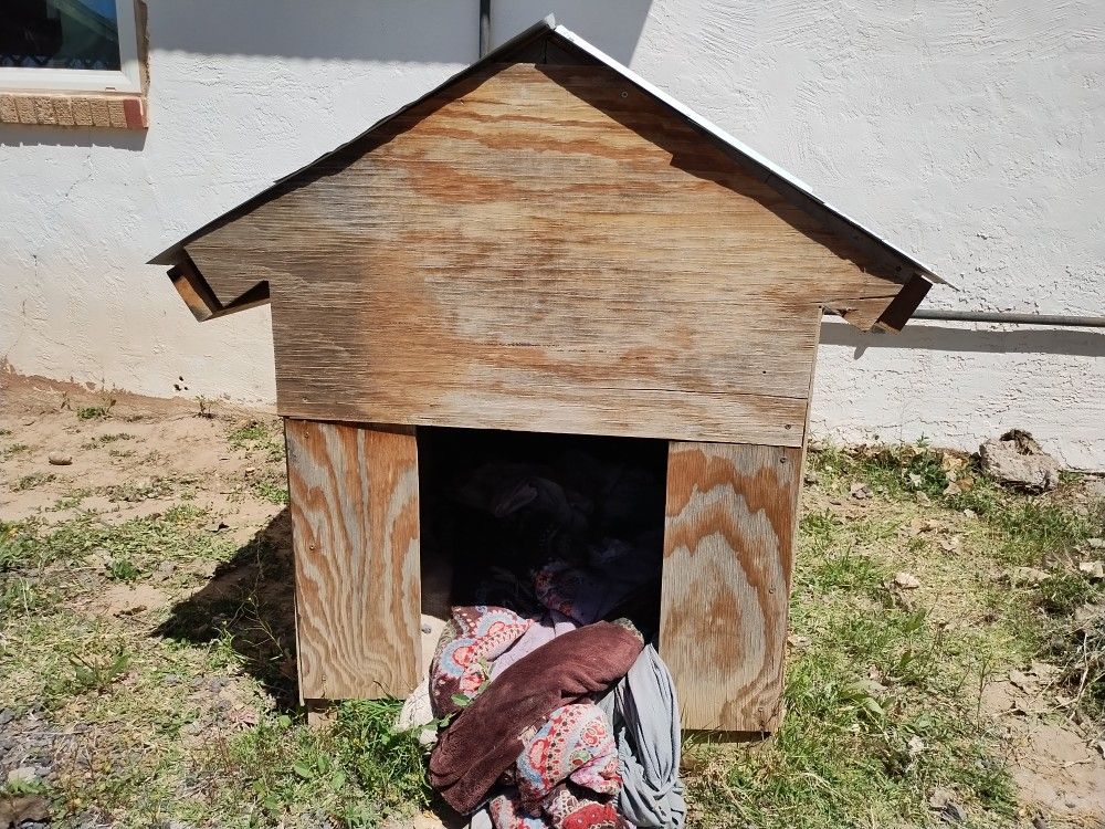Dog House For Sale 