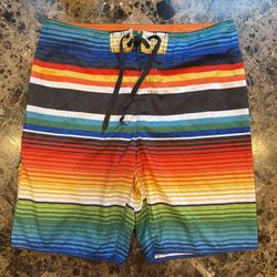 HANG TEN MENS RAINBOW BOARD SURF SWIM SHORTS SIZE 36 TRUNKS EUC PRIDE COLORFUL