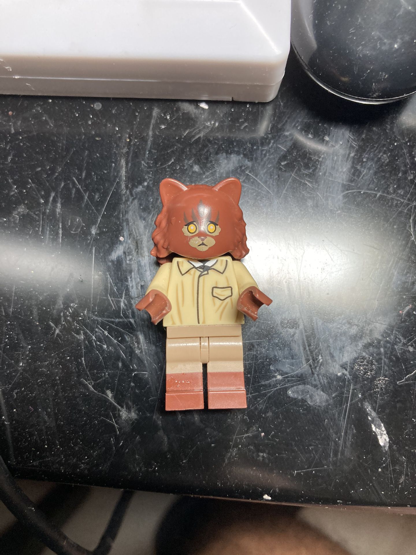 Hermione Granger LEGO As Cat With Harry Potter Head