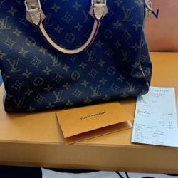 Louis Vuitton Bag