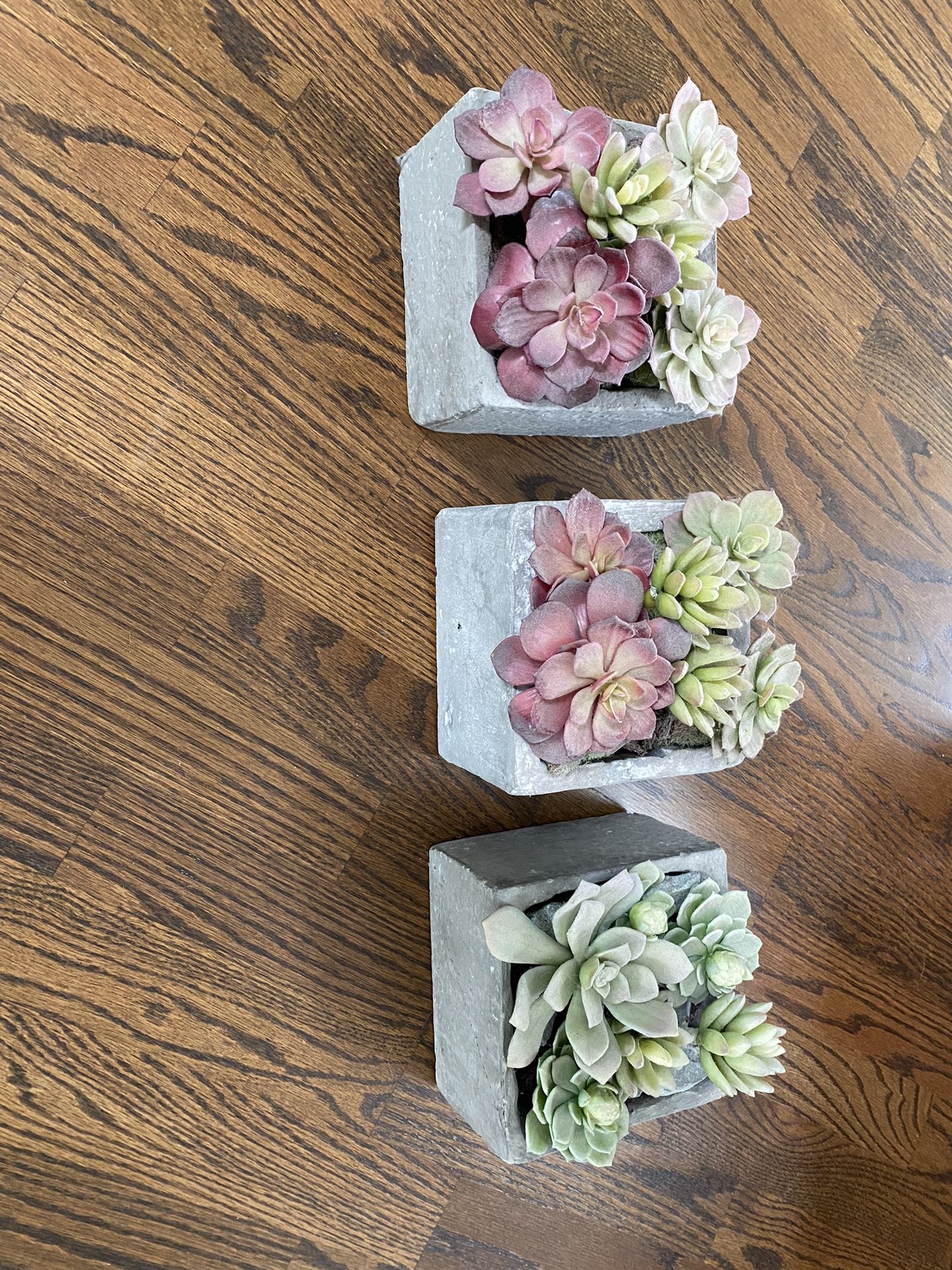 Artificial Succulent Plants