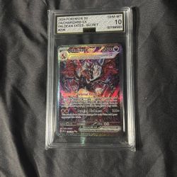 Black Dragon  Ex 