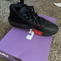 LeBron Witness VIII