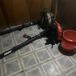 2 Leaf Blowers