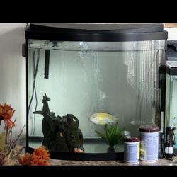 Fish Tank
