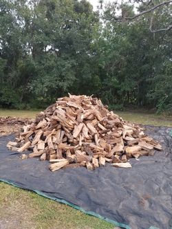 Firewood for cooking and firepit $25 for 40 pieces