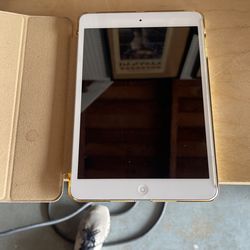 Apple iPad Mini