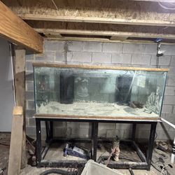 220 Gallon. Tank And Stand 