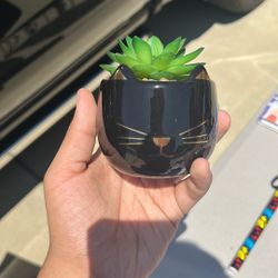 Fake plant in Fake Plant In Pot Cat pot