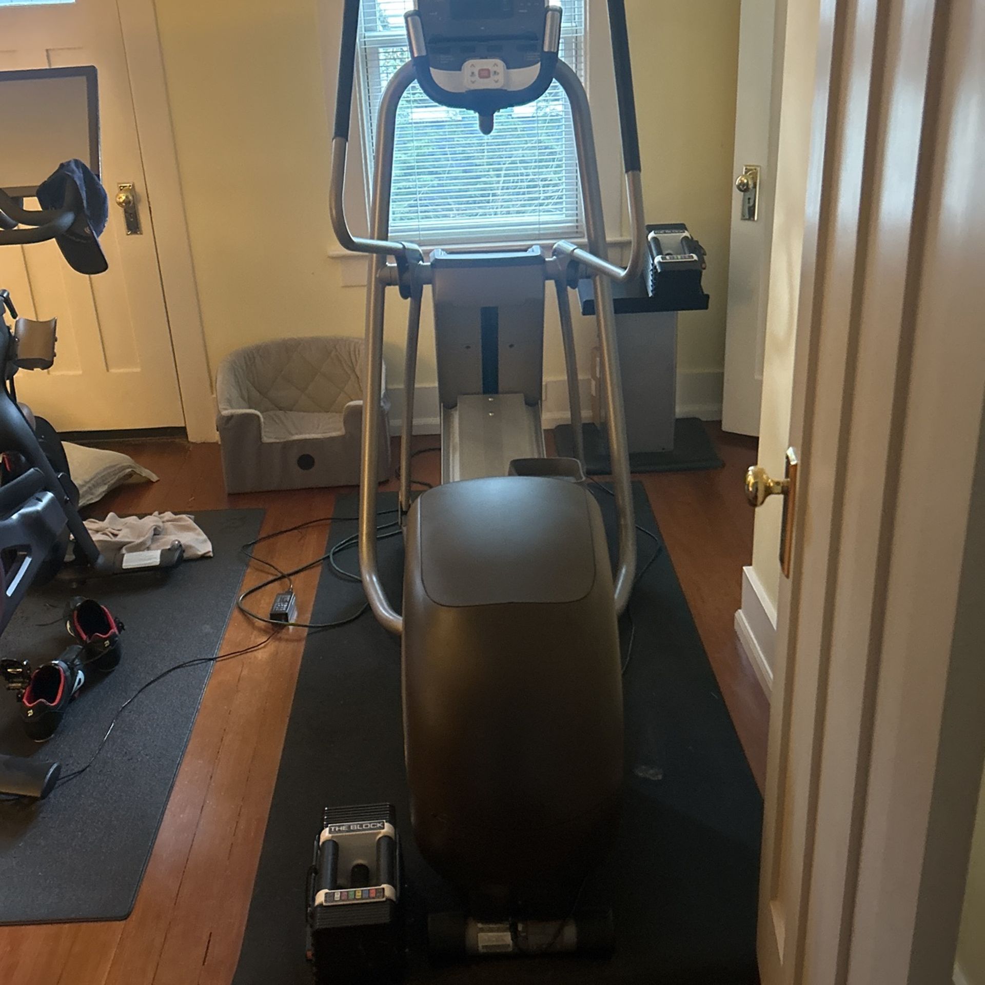 Record Elliptical 5.33