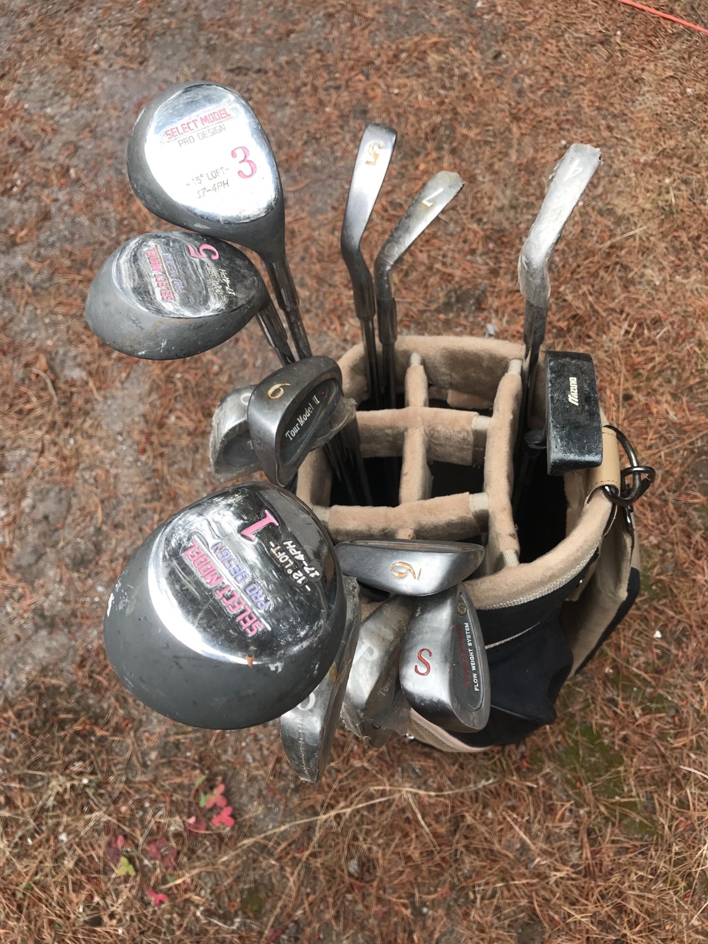 Golf Clubs and bag