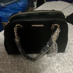 Aldo Hand Bag 